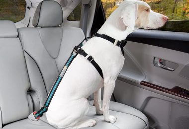 Top 5 Dog Seat Belts